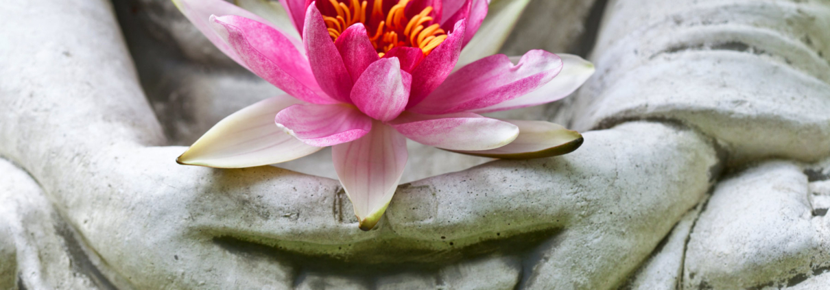 Buddha Lotos Blüte Achtsamkeit Meditation