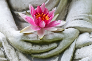 Buddha Lotos Blüte Achtsamkeit Meditation