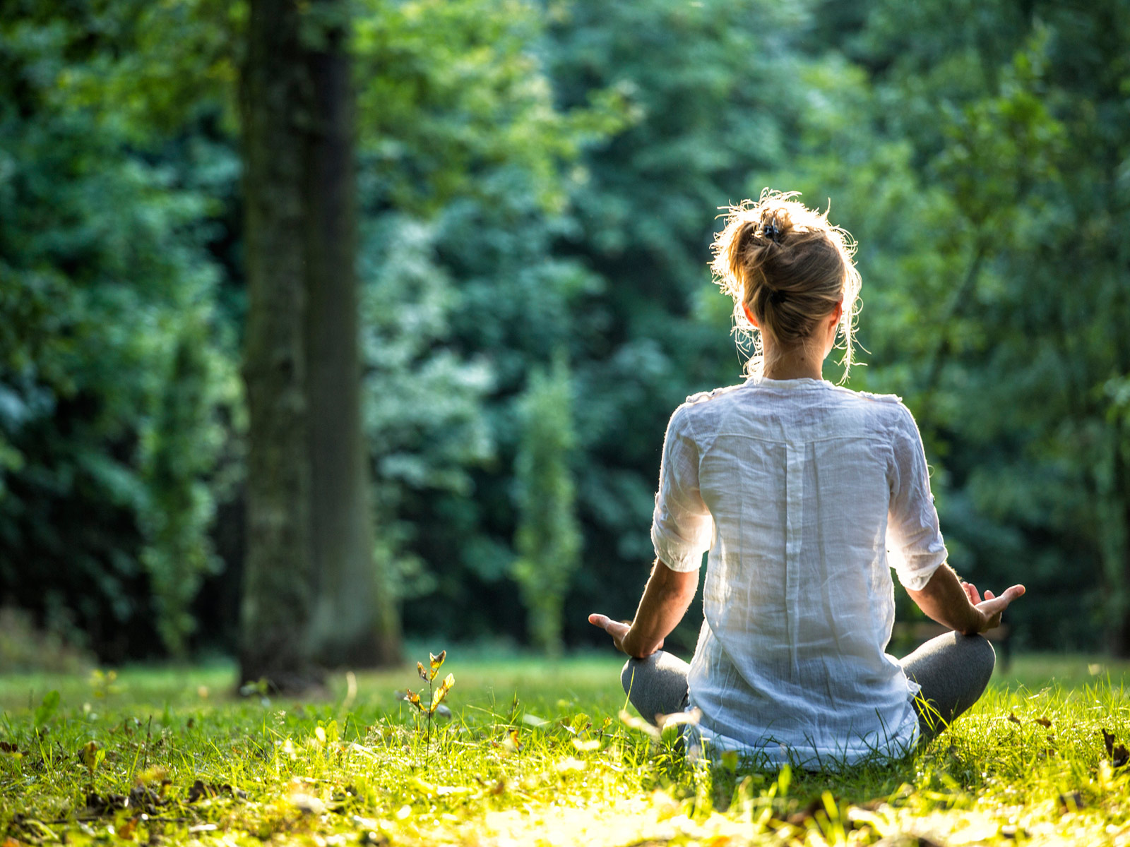 Ayurveda Delgado Aarau Meditation