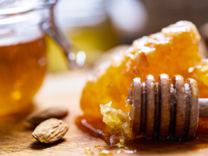 Ernährung, Ausgleich, Rasyana