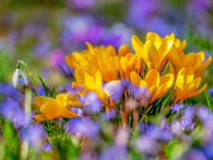 Beginn der aktiven Zeit